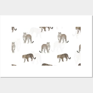 Modern Jungle Leopard Animals White Pattern Posters and Art